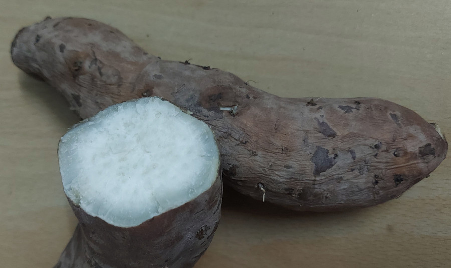 Ảnh: Quốc Bình Ảnh: Quốc Bình