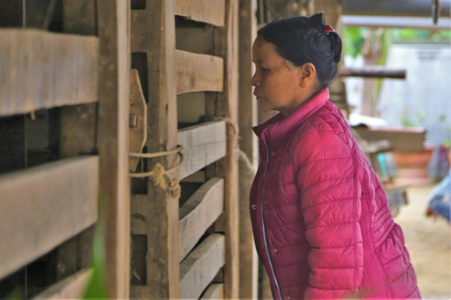 Nhờ các chính sách hỗ trợ của các cấp ngành, người dân Hương Sơn đã mạnh dạn đầu tư, mở rộng quy mô chăn nuôi hươu.