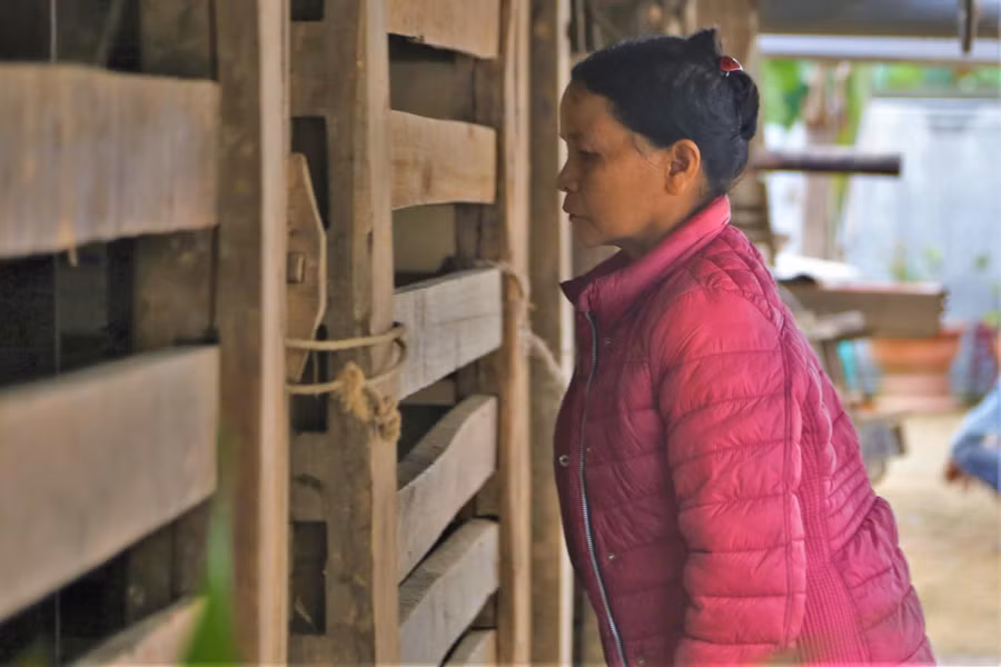 Nhờ các chính sách hỗ trợ của các cấp ngành, người dân Hương Sơn đã mạnh dạn đầu tư, mở rộng quy mô chăn nuôi hươu.