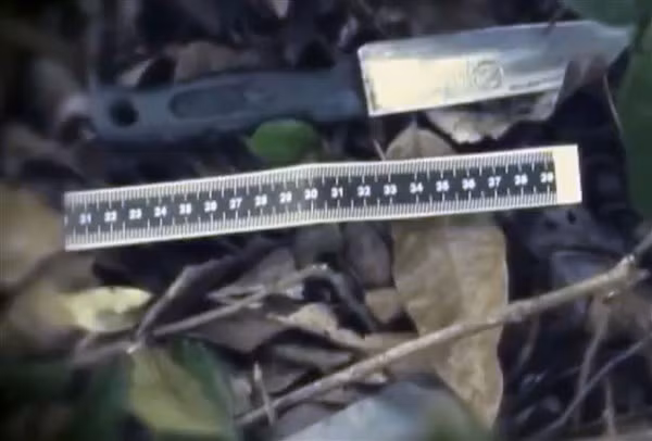 Mẫu “tế bào lạ” vạch mặt kẻ sát nhân ảnh 1