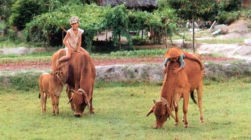 Ảnh minh họa/INT.