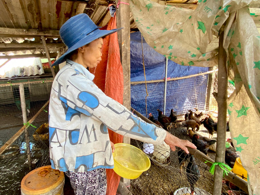 Người dân phường Thủy Lương, thị xã Hương Thủy phấn khởi khi được hỗ trợ dự án nuôi gà, giúp cải thiện thu nhập. (Ảnh: Hoàng Hải)