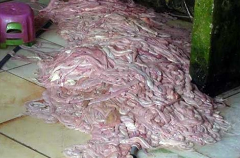 Lực lượng Cảnh sát môi trường TP Đà Nẵng phát hiện cơ sở tại tổ 1, thôn An Thạnh, xã Hòa Tiến, huyện Hòa Vang, TP Đà Nẵng chứa hàng tấn nội tạng thối chuẩn bị xuất vào quán nhậu.