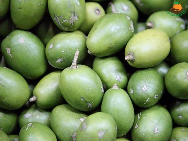 Trái cóc có tác dụng giảm nồng độ đường trong máu cho bệnh nhân tiểu đường loại 2.