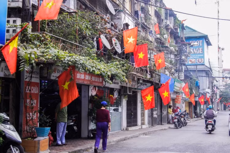 Muôn cảnh xuân về ảnh 4