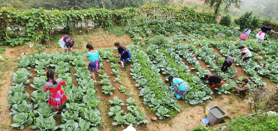 HS được hướng nghiệp, dạy nghề qua các hoạt động nội trú