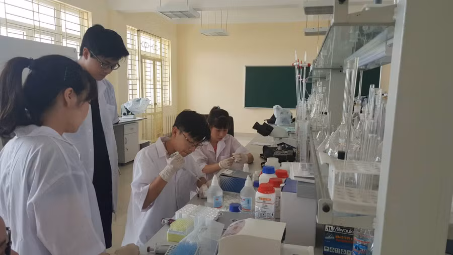 Học sinh Trường THPT Chuyên Hạ Long được hỗ trợ thực nghiệm sáng tạo khoa học kỹ thuật tại phòng thí nghiệm của Trường ĐH Hạ Long (Quảng Ninh)