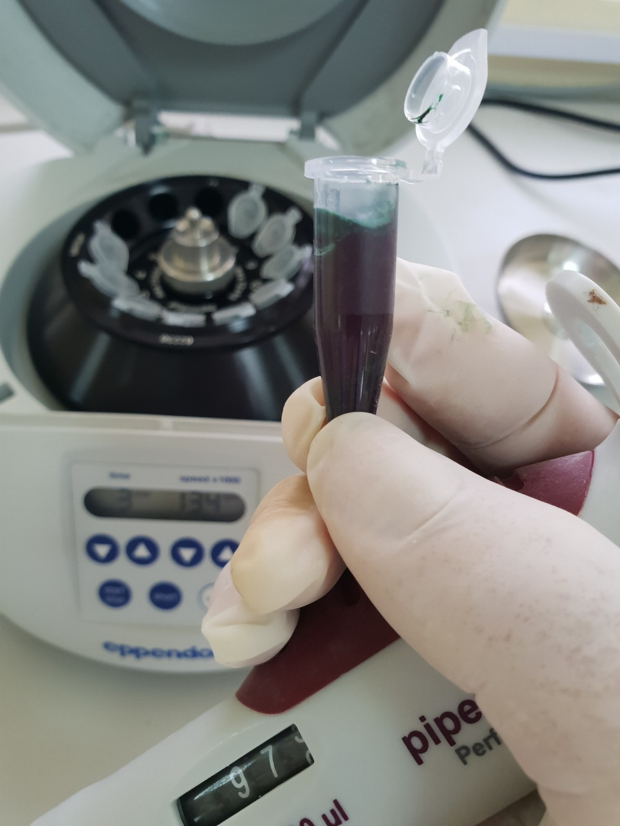 Không ít học sinh tham gia đề tài KHKT "trái tay" với môn học chuyên ở trường.