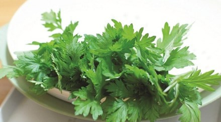 Ngải cứu - dùng quá liều có thể trúng độc