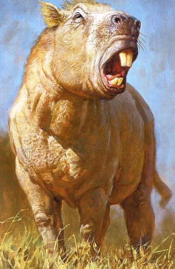 Phát hiện loài chuột lang to như trâu, khỏe như hổ 1