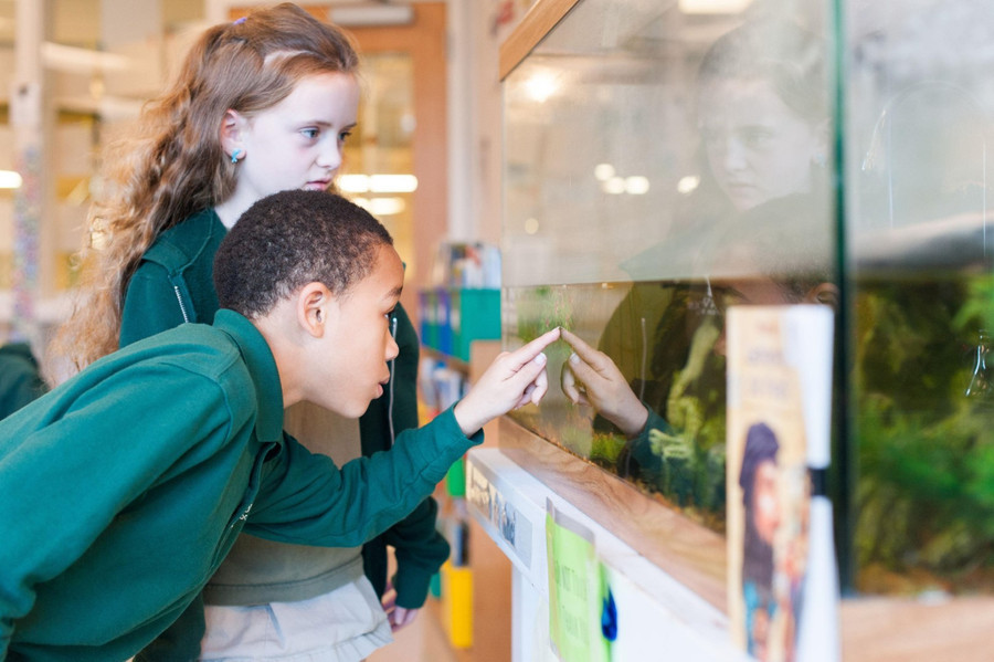 Học sinh tìm hiểu về thảm thực vật.