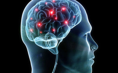 Não bộ là cơ quan phức tạp trong cơ thể người. Ảnh: CBS News brain-stock-9949-1418281753.jpg