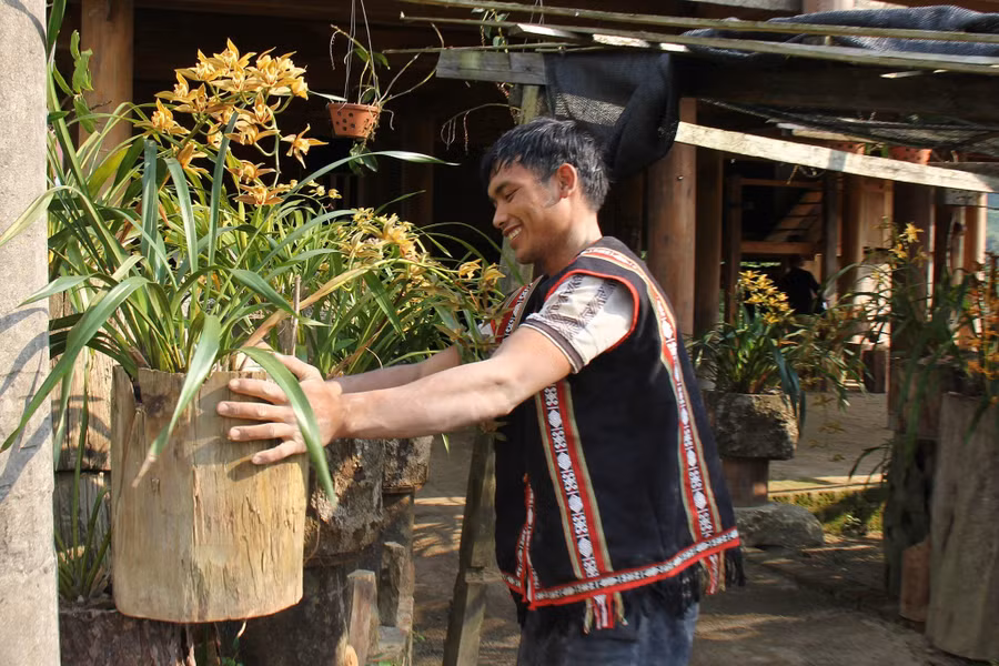 Những chậu lan khoe sắc thu hút du khách ghé thăm. Ảnh: Trúc Hân