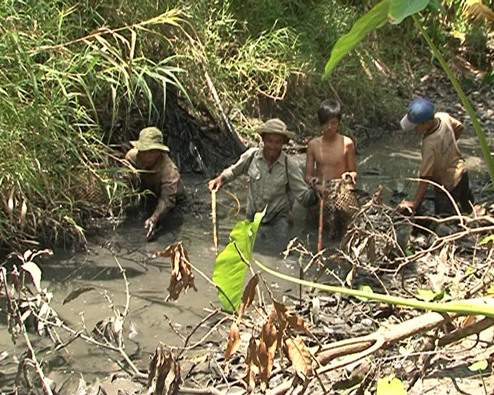 Người dân sử dụng xung điện tận diệt cá.