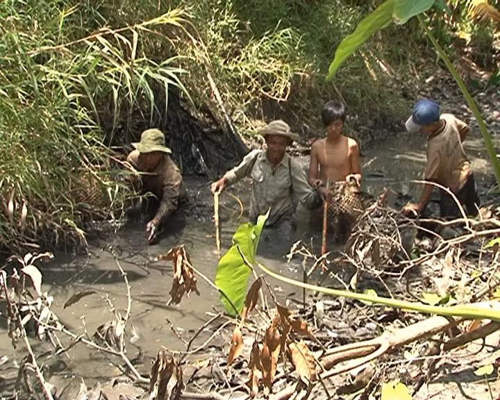 Người dân sử dụng xung điện tận diệt cá.