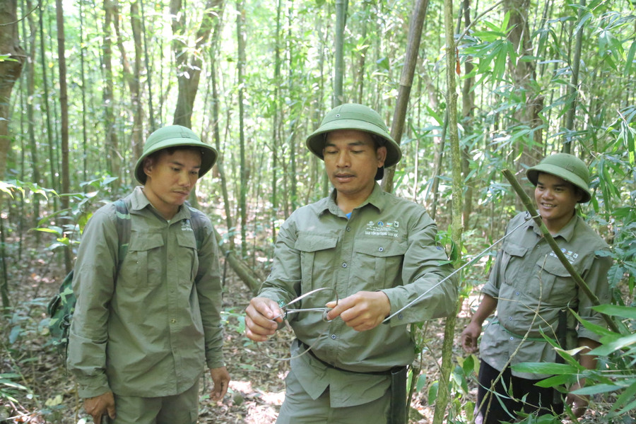 Tổ tuần tra bảo vệ rừng phát hiện và tháo gỡ bẫy thú trái phép.