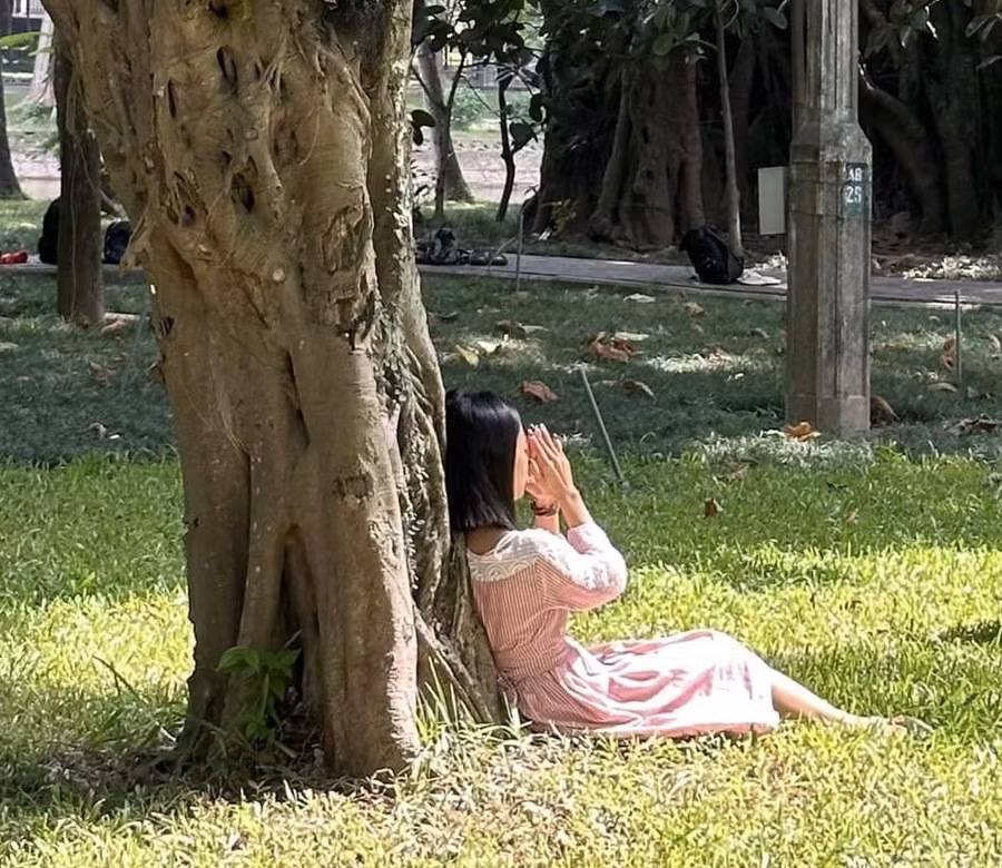 Thực hành tiếp đất chân trần, chạm và ôm cây tại vườn Bách Thảo Hà Nội. Ảnh: HM