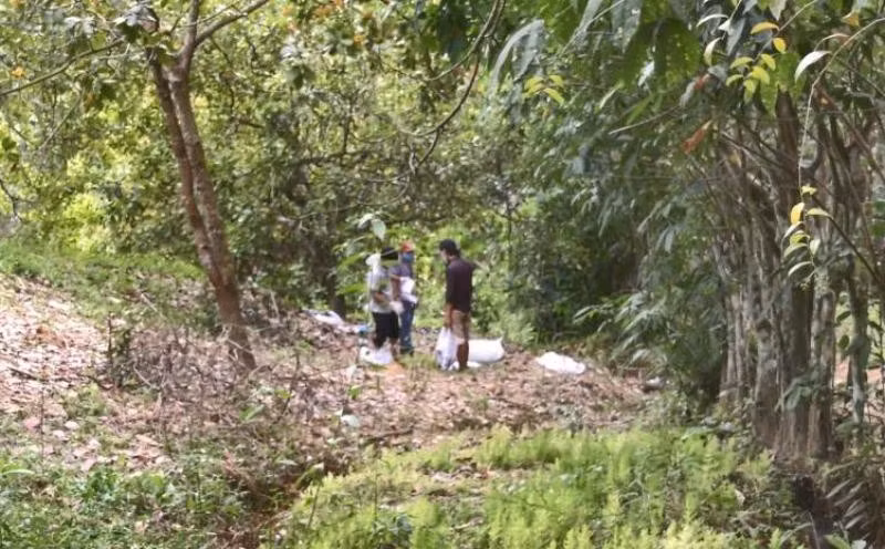 Khu vực bờ suối nơi phát hiện bộ xương không đầu. Ảnh: KD.