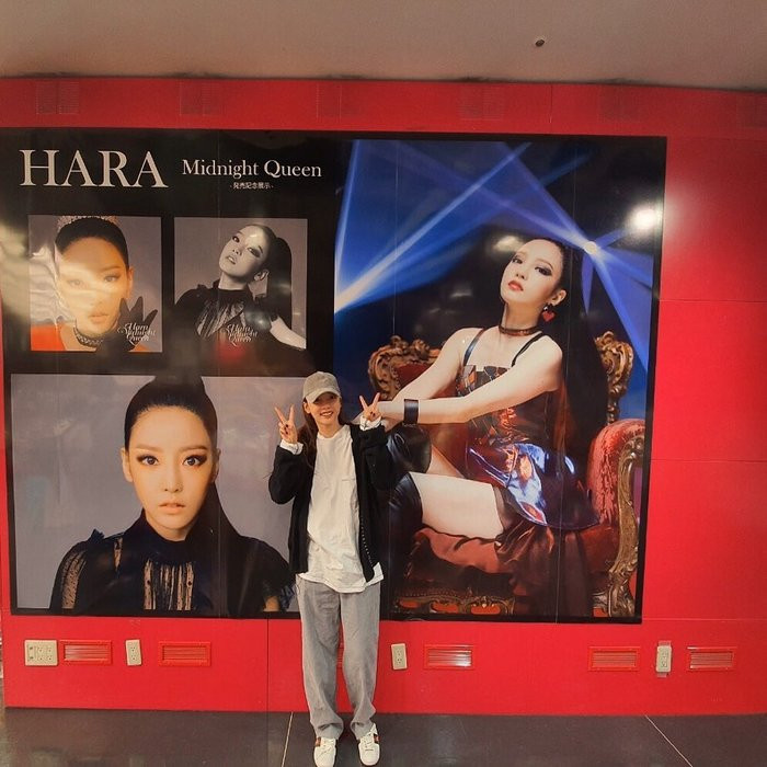 Nhìn lại những khoảnh khắc ngọt ngào của Goo Hara trước khi quyết định từ giã tuổi xuân của mình ảnh 8