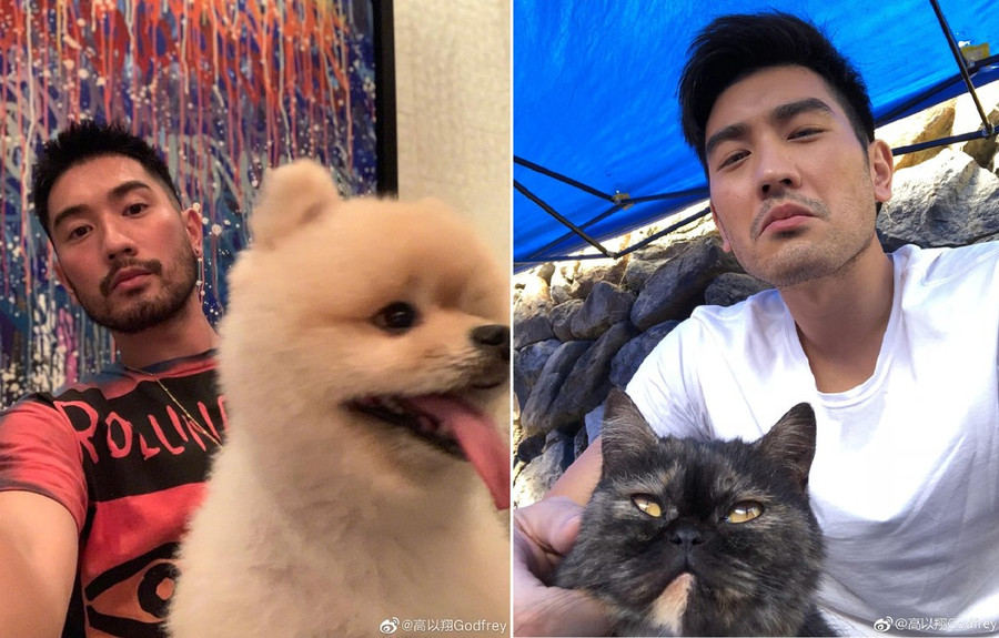 Nhung hinh anh cuoi cung cua Cao Di Tuong hinh anh 6 