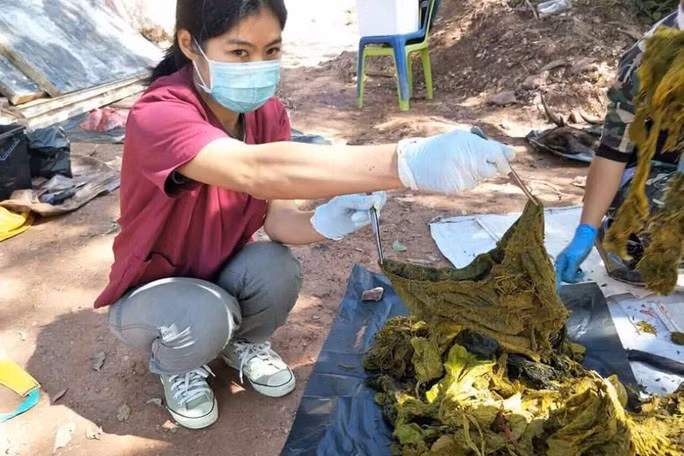 Con nai già chết vì ăn phải... đồ lót - Ảnh 1.