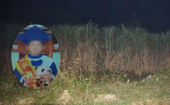 Lời khai của mẹ kế sát hại, phi tang thi thể con chồng