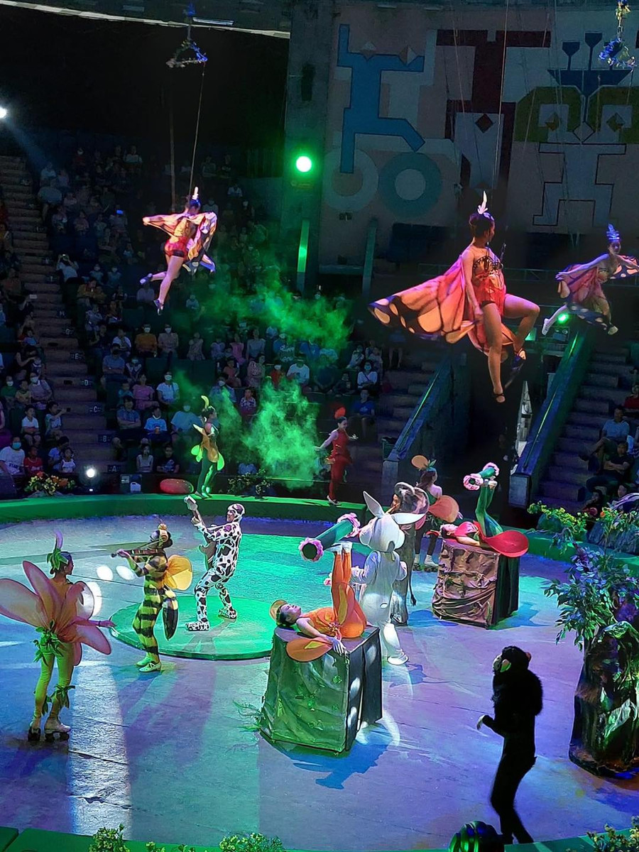 Vở xiếc &apos;Chúa tể rừng xanh&apos; của Liên đoàn Xiếc Việt Nam nhận được nhiều suất diễn từ các trường học. Ảnh: LĐXVN.