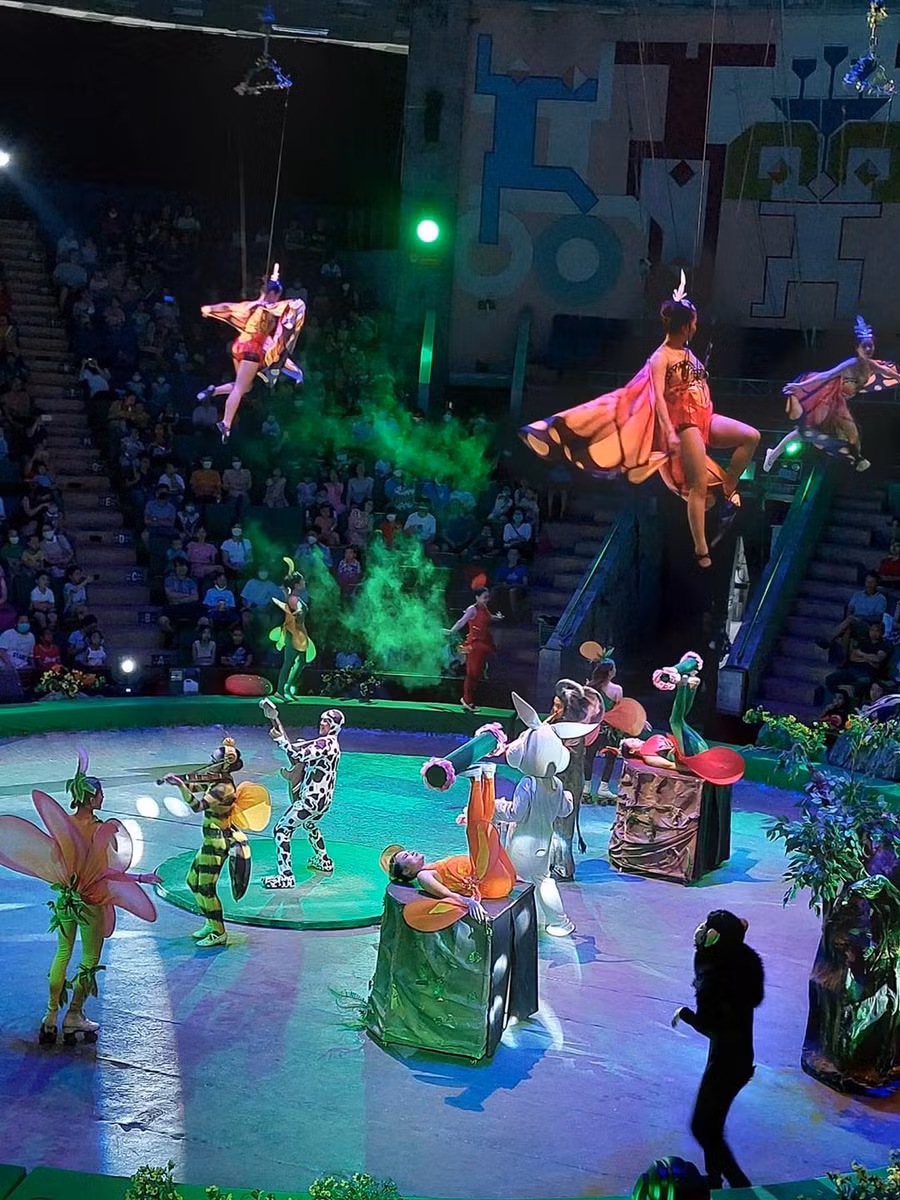 Vở xiếc 'Chúa tể rừng xanh' của Liên đoàn Xiếc Việt Nam nhận được nhiều suất diễn từ các trường học. Ảnh: LĐXVN.