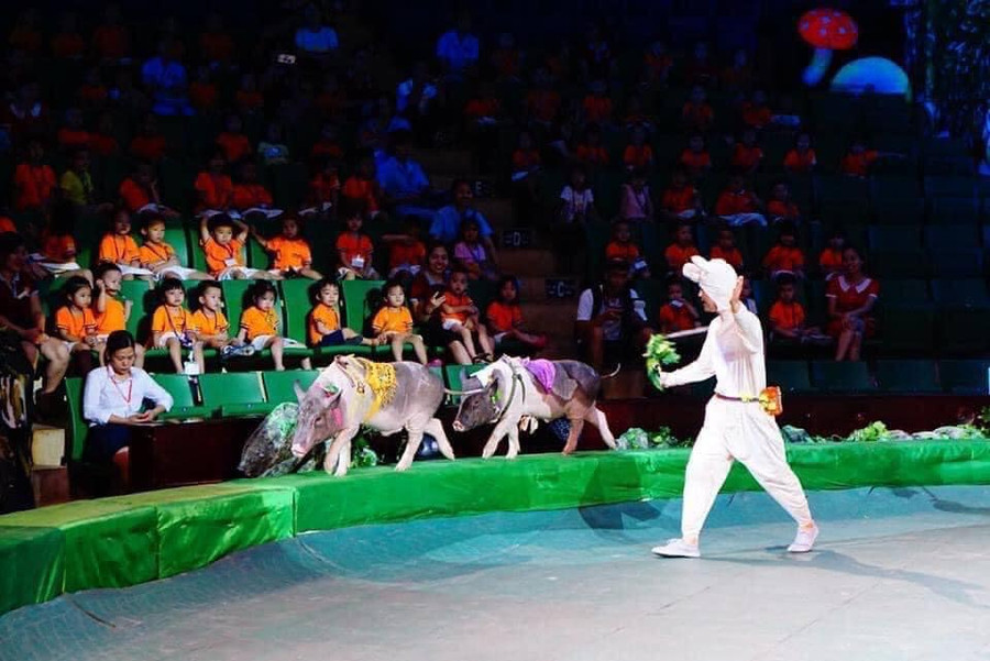 Không nên lạm dụng nhiều xiếc thú sẽ khiến khán giả nhàm chán. Ảnh: LĐXVN.