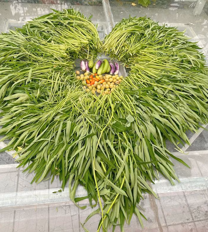 Nhiều năm nay, người dân ở ngõ 290 Kim Mã (Ba Đình, Hà Nội) đều biết chị Đỗ Thị Tâm (sinh năm 1984) có khu vườn trồng rau củ, trái cây trên sân thượng thường hái tặng hàng xóm ngày giãn cách. Nguồn: Zing.