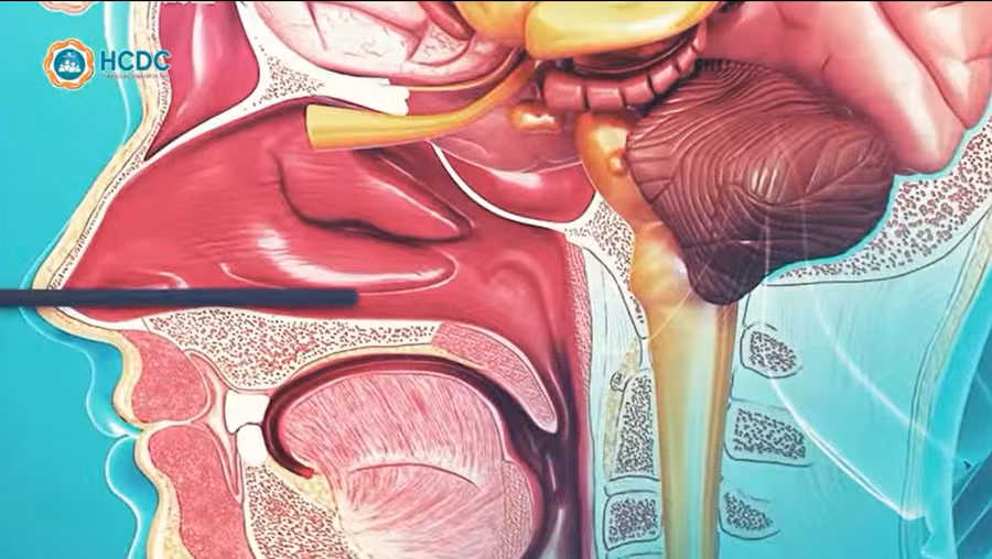 Video: Hướng dẫn thực hiện test nhanh Covid-19 tại nhà