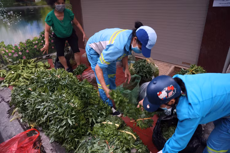 Sau khi gom đủ số lượng sẽ chuyển đến điểm tự phát được thông báo trước cho bà con để có thể đến lấy miễn phí. Ảnh: Báo Tin Tức.