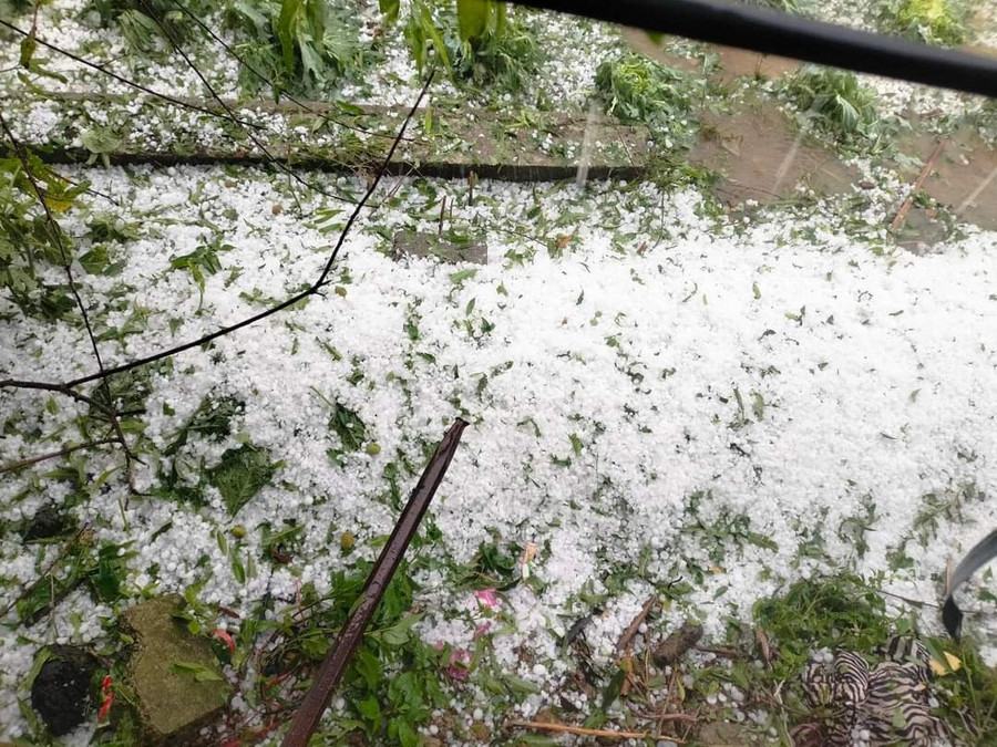 Mưa đá rơi trắng xoá ở xã Pà Cò.