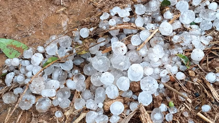 Mưa đá xuất hiện tại bản Búc (xã Chiềng Sung, huyện Mai Sơn).