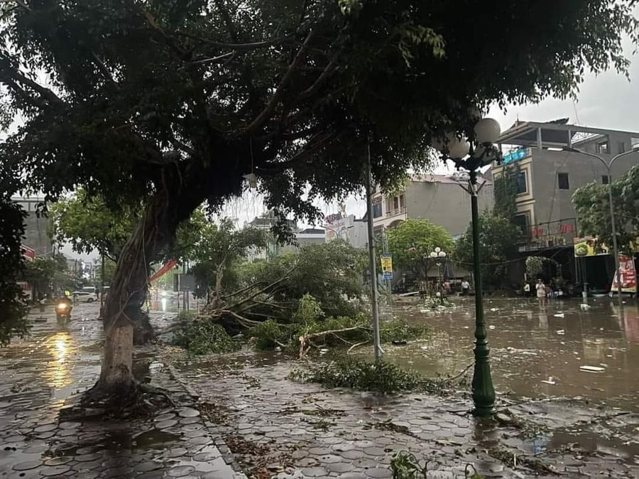 Mưa lớn kèm dông lốc làm đổ cây cối và ngập nước tại thị trấn Phù Yên. Mưa lớn kèm dông lốc làm đổ cây cối và ngập nước tại thị trấn Phù Yên.
