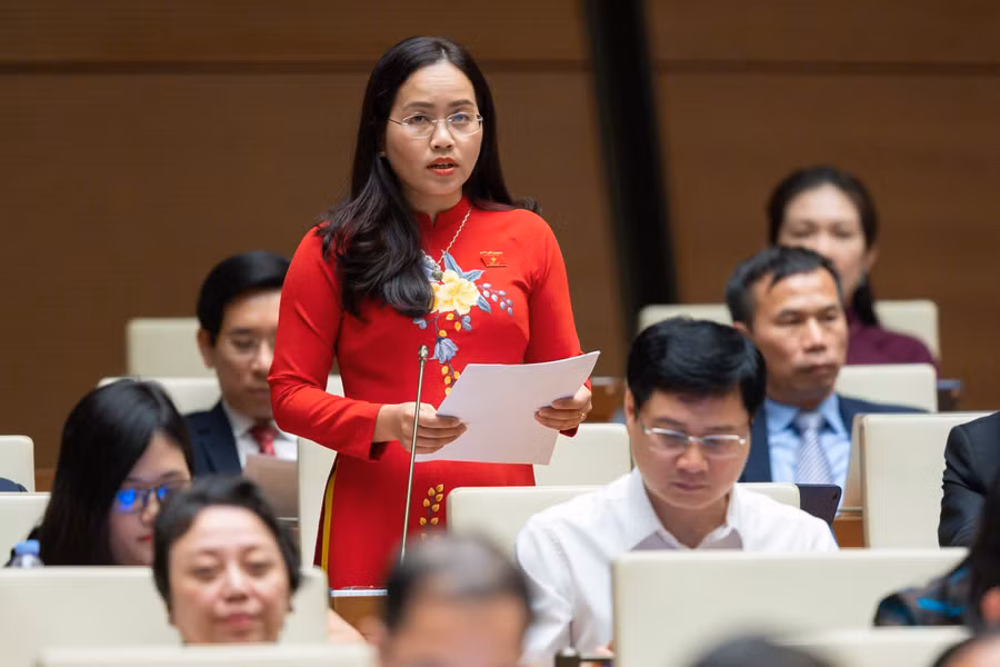 Đại biểu Hồ Thị Kim Ngân (Bắc Kạn).