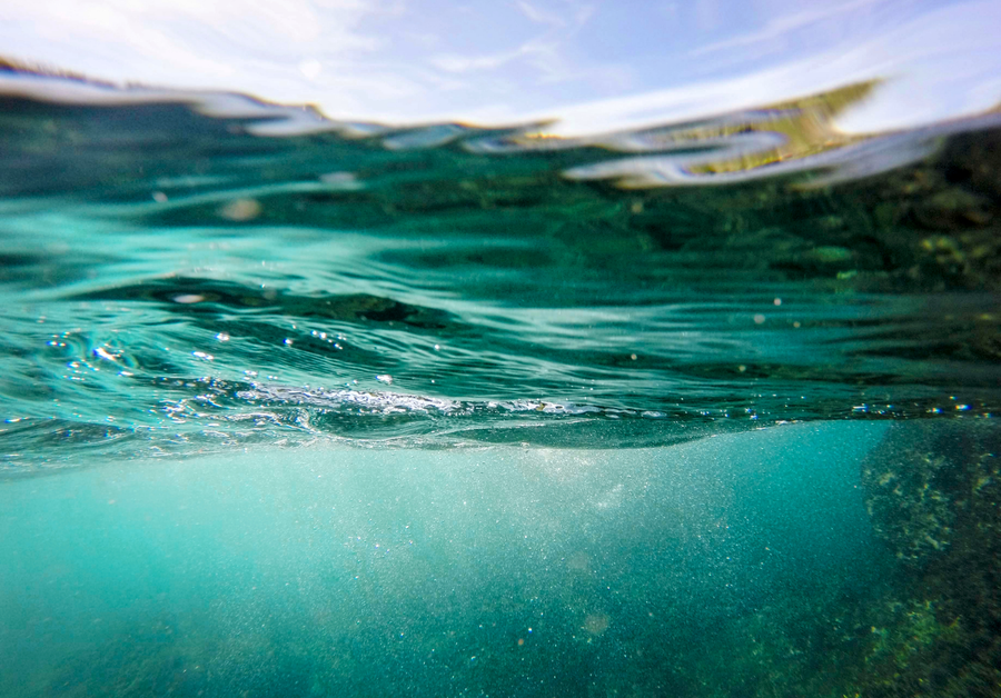 Khoảng 1.200 virus có thể tham gia vào quá trình thải ra carbon vào các sinh vật biển. Khoảng 1.200 virus có thể tham gia vào quá trình thải ra carbon vào các sinh vật biển.