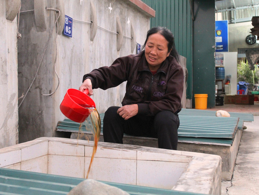 Bà Nguyễn Thị Hảo (thôn Bắc Sơn, Hoằng Phụ) bên bể mắm đậm màu sóng sánh chuẩn bị “ra lò” của gia đình. Bà Nguyễn Thị Hảo (thôn Bắc Sơn, Hoằng Phụ) bên bể mắm đậm màu sóng sánh chuẩn bị “ra lò” của gia đình.