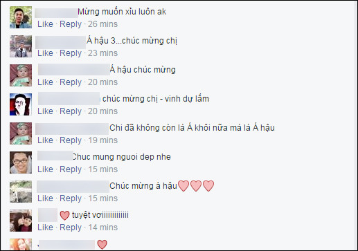 Dân mạng “sôi sục” với thành tích Á hậu 3 của Thúy Vân tại Hoa hậu Quốc tế 2015 ảnh 3 11-c85c3