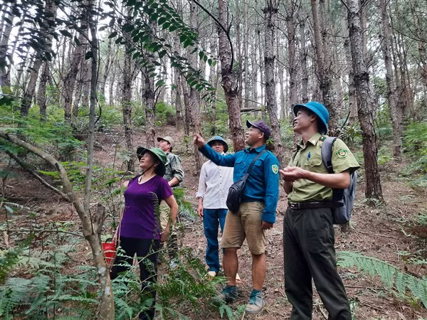 Cán bộ kiểm lâm, đại diện lãnh đạo 2 bản Bua 1, 2 và tổ bảo vệ đi kiểm tra rừng thông hôm 23/6. Ảnh: HN