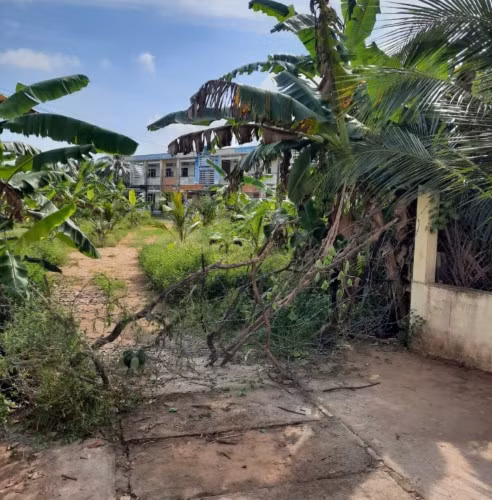 Lối vào trường bị rào bằng dây kẽm gai và cây. Sân trường bị trồng cây um tùm.