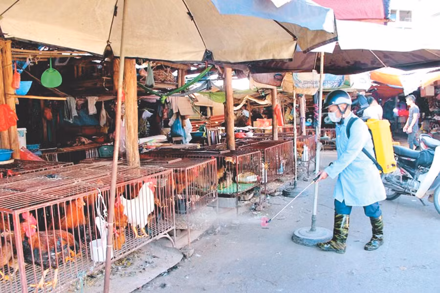 Lạng Sơn: Tích cực tiêu diệt mầm bệnh trong môi trường