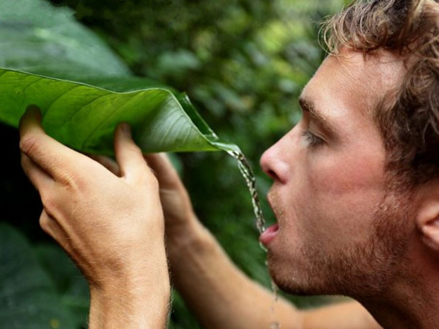 Nước mưa không an toàn để uống. Nước mưa không an toàn để uống.