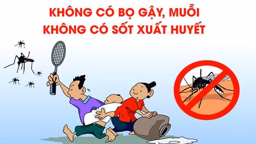 Các biện pháp phòng chống muỗi. Nguồn: Vinmec.