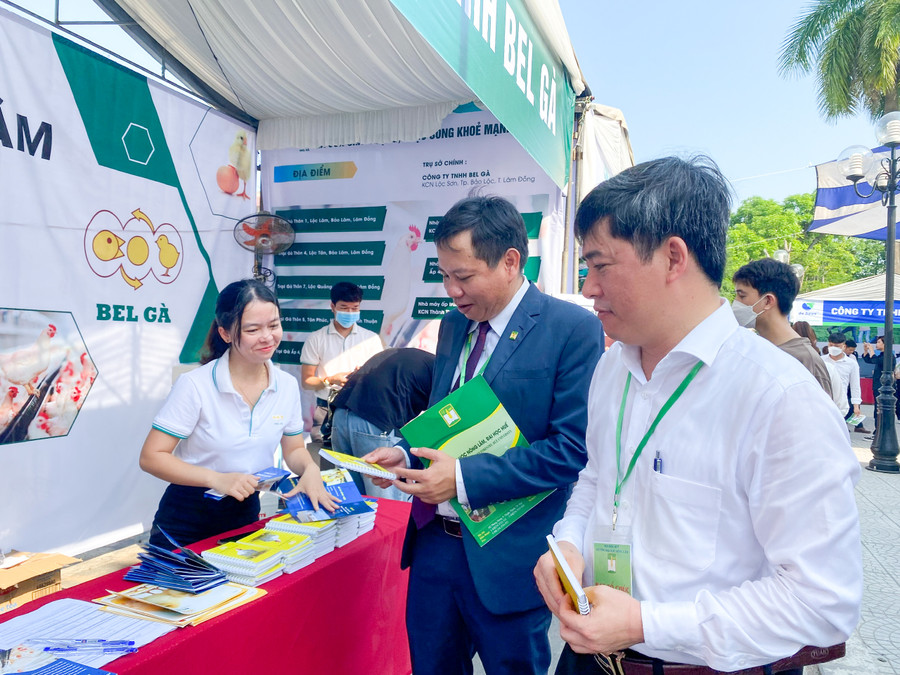 Lãnh đạo Trường ĐH Nông Lâm, ĐH Huế tham quan các gian hàng tuyển dụng.