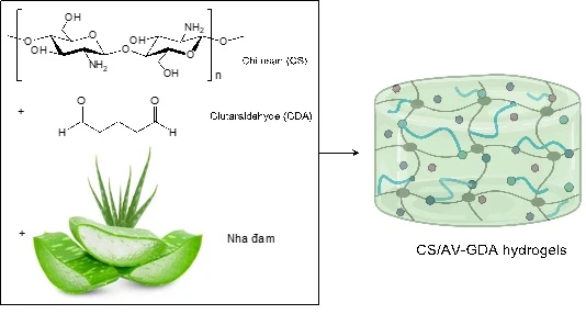 Phản ứng điều chế hệ hydrogels chitosan chứa dịch nha đam.