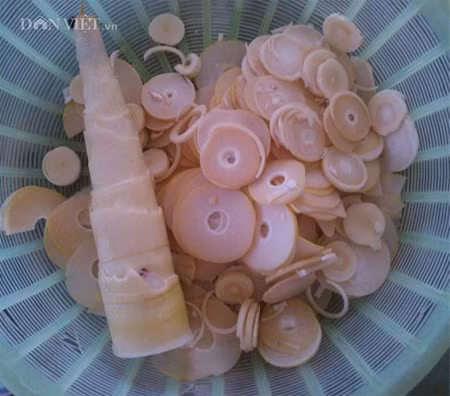 “Khoái khẩu” món măng tre xào lá lốt của nội