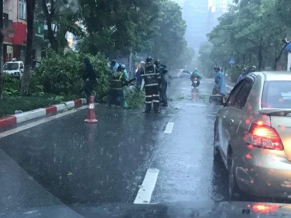 Vùng núi và trung du Bắc Bộ có mưa rất to 