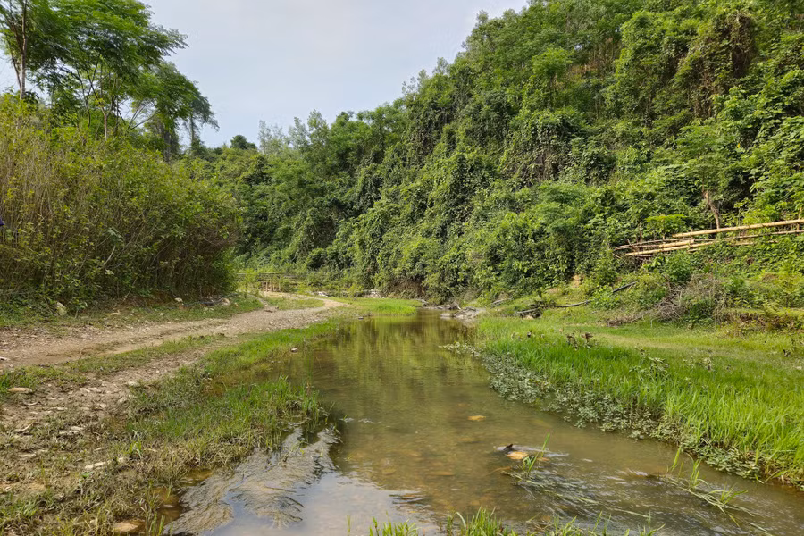 Đất sản xuất nông nghiệp khu vực gần khe Pu bị bỏ hoang do ô nhiễm môi trường. Ảnh: Phạm Tâm