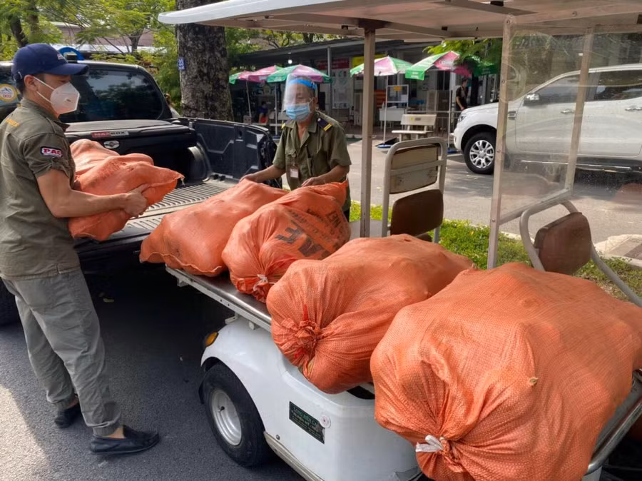 Số rau củ do GV. HS nhà trường gieo trồng được gửi tặng Khu cách ly Bệnh viện Thanh Nhàn. 